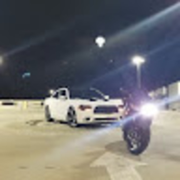 Meet your Posher, Herbert - Picture 1 of 1